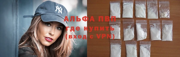 ПСИЛОЦИБИНОВЫЕ ГРИБЫ Белокуриха
