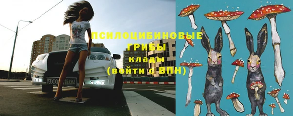 гидропоника Белоозёрский