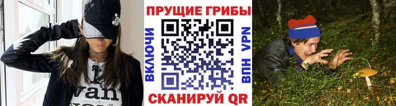Галлюциногенные грибы мицелий  гидра ONION  Невель  дарнет шоп 